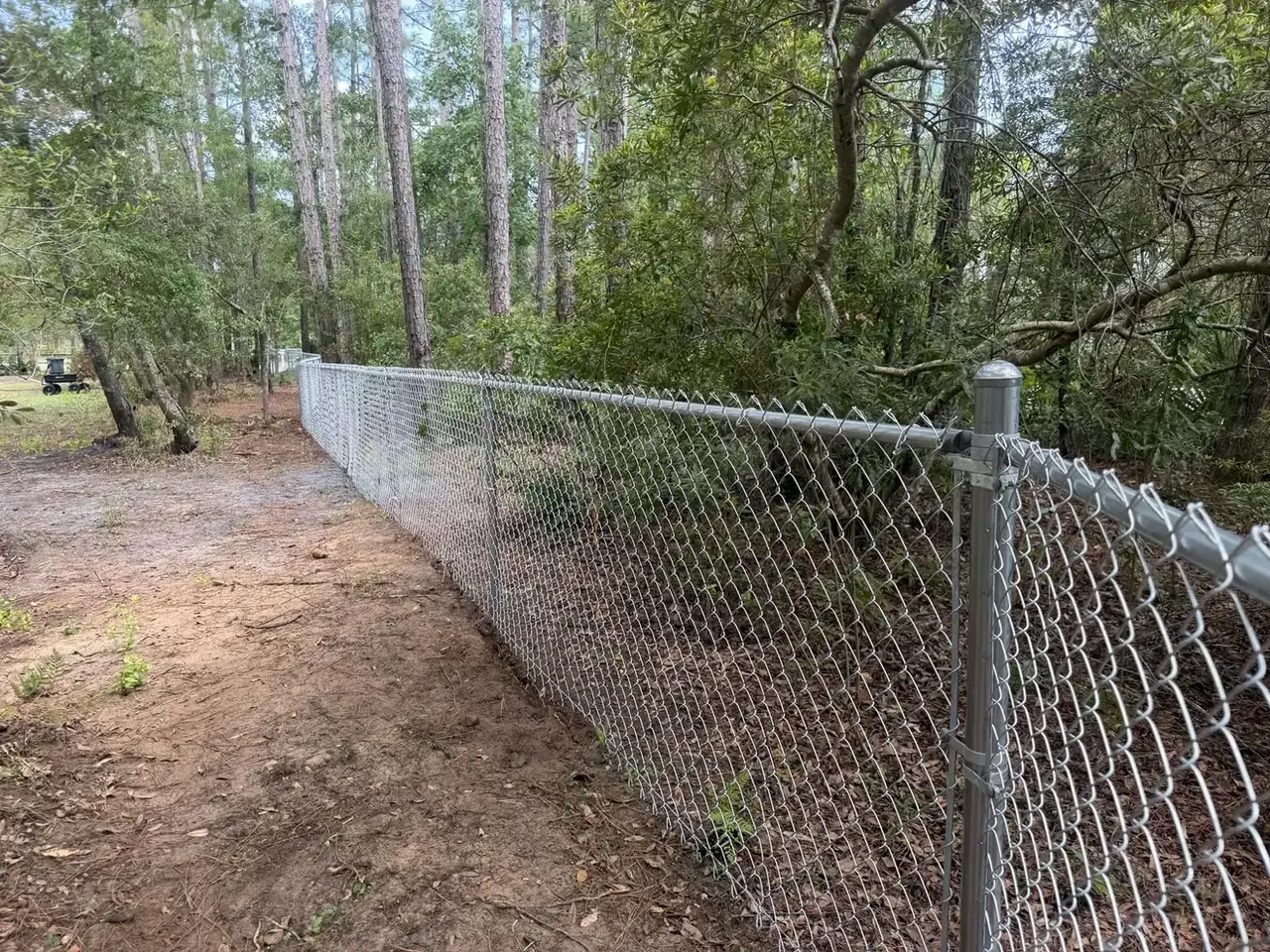 Residential chain link fence beside a wooded property